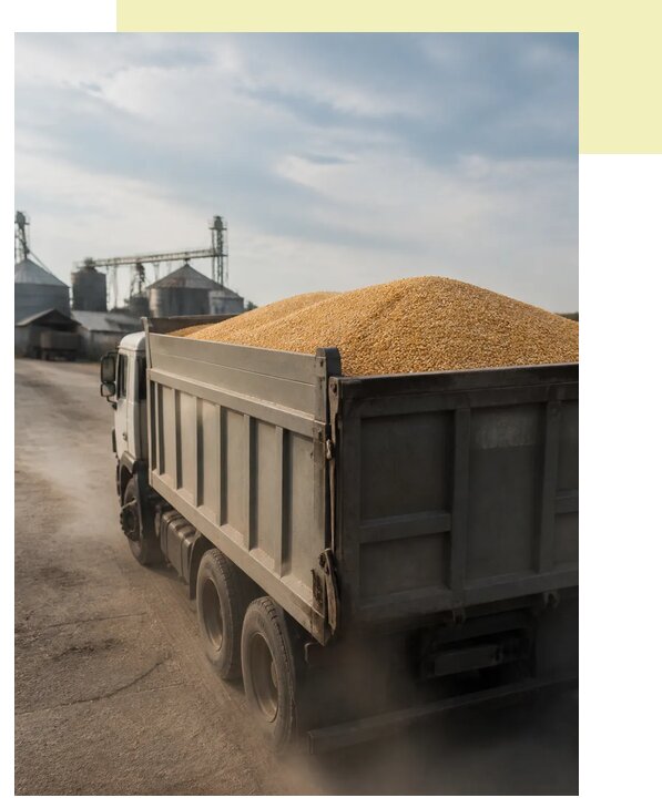 Перевозка сельхозпродукции навалом в Солнечногорск по цене от 3122 р. | Агросервис-Слн