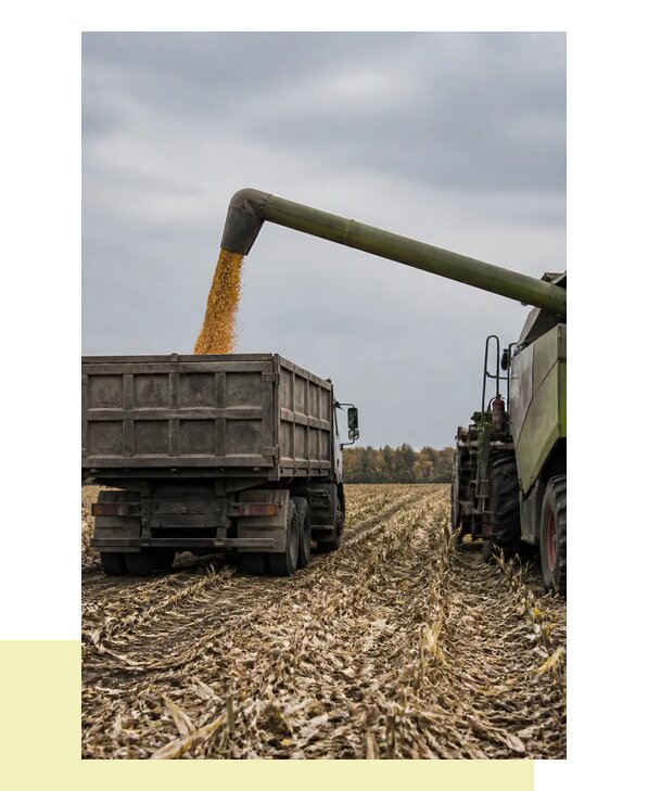 Перевозка урожая с поля в Солнечногорск с доставкой точно в срок